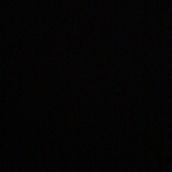 Meet your Posher, Mazie - Picture 1 of 1